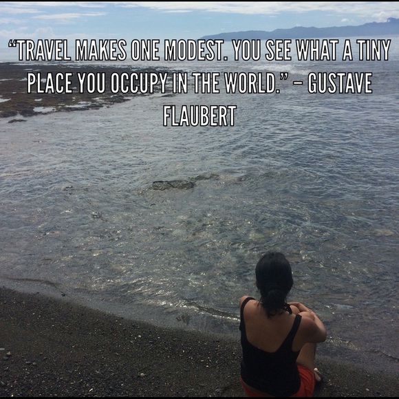 Meet your Posher, Violet - Picture 6 of 8